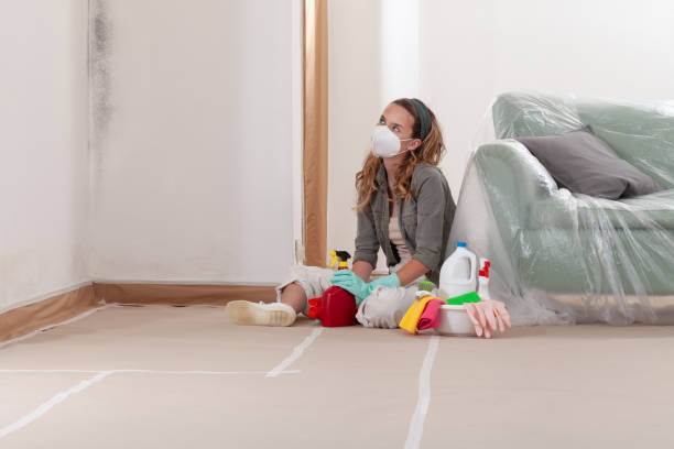 Reliable Mold Remediation contractor in Wakefield, VA by WQB Mold Removal