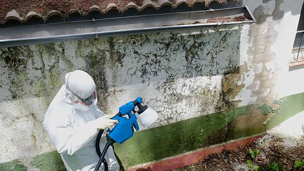 Top rated local Mold Remediation specialists in Wakefield, VA